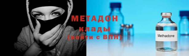 шишки Долгопрудный